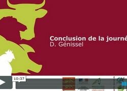 Colloque viande - Conclusion par D. Génissel