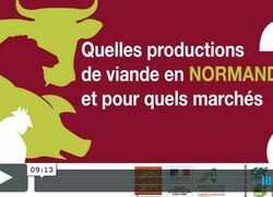 Colloque viande - Introduction par D. Epron et L. Sellos